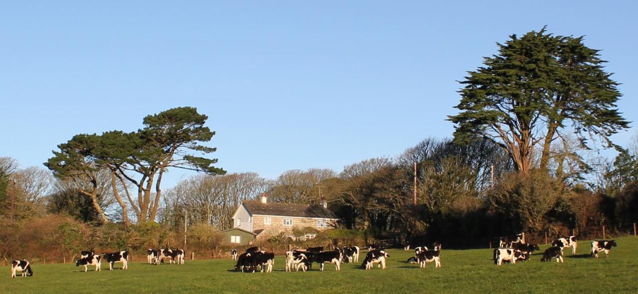Bed and Breakfast Coombe Farmhouse St Ives Exterior foto