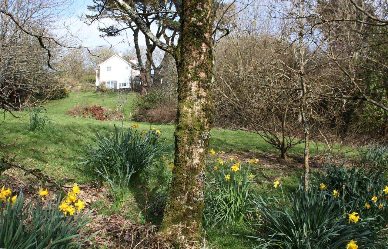 Bed and Breakfast Coombe Farmhouse St Ives Exterior foto